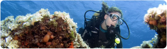 Online scuba coupon Black Friday Coupons Latest Black Friday coupons and deals for Cyber Monday Coupons Latest Cyber Monday coupons and deals for Today's Coupons Discounts added within the last day. Popular Coupons Most popular discounts over time. Newest Coupons Current coupons just added to the site. Featured Coupons Coupons for popular featured merchants.